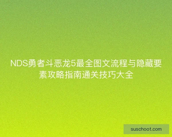 NDS勇者斗恶龙5最全图文流程与隐藏要素攻略指南通关技巧大全