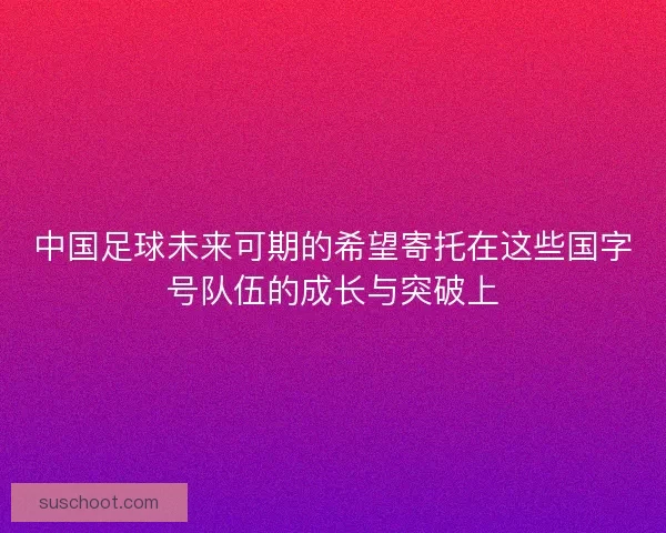中国足球未来可期的希望寄托在这些国字号队伍的成长与突破上