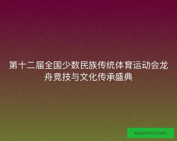 第十二届全国少数民族传统体育运动会龙舟竞技与文化传承盛典 第十二届全国少数民族传统体育运动会龙舟竞技与文化传承盛典
