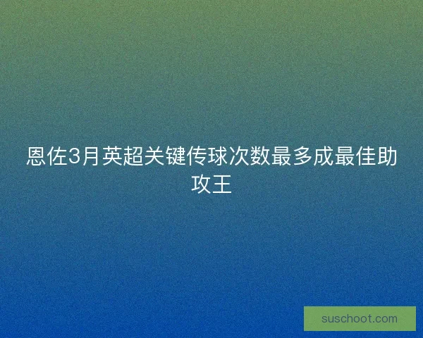 恩佐3月英超关键传球次数最多成最佳助攻王