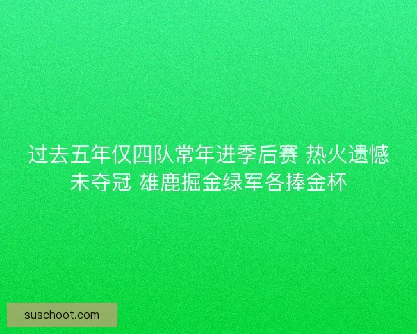 过去五年仅四队常年进季后赛 热火遗憾未夺冠 雄鹿掘金绿军各捧金杯 过去五年仅四队常年进季后赛 热火遗憾未夺冠 雄鹿掘金绿军各捧金杯