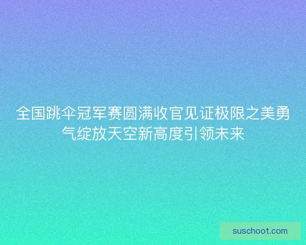 全国跳伞冠军赛圆满收官见证极限之美勇气绽放天空新高度引领未来