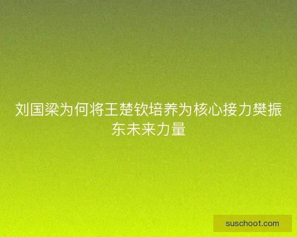 刘国梁为何将王楚钦培养为核心接力樊振东未来力量 刘国梁为何将王楚钦培养为核心接力樊振东未来力量